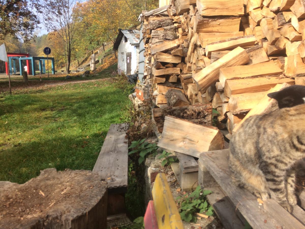 Cesta Hostel Tábor Kültér fotó